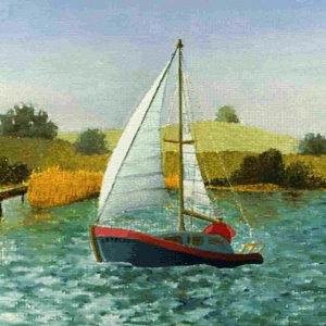 Schiff1996