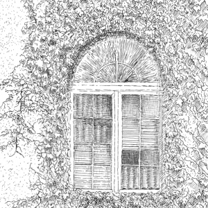 Fenster mit Efeu
