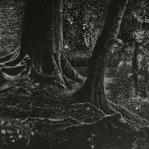 Wood